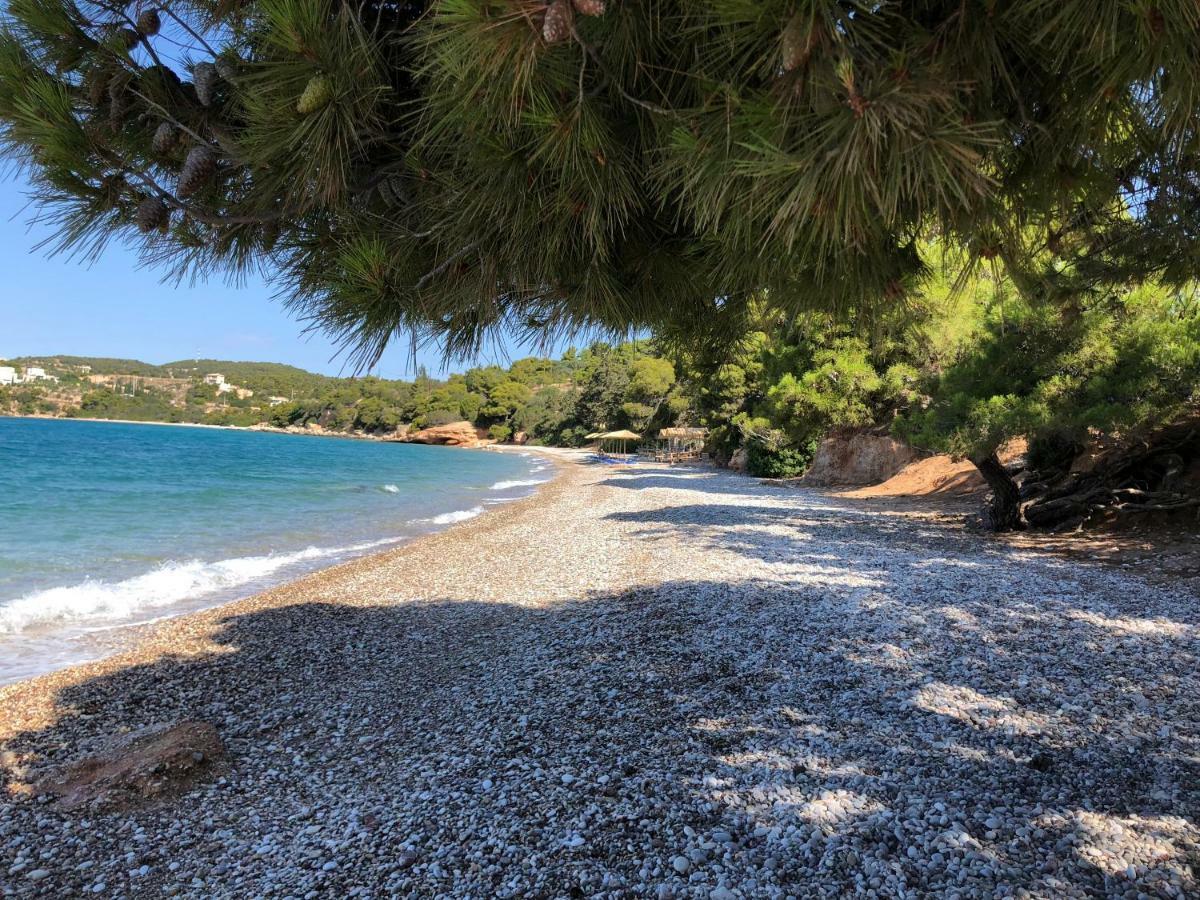 Villa Marina Porto Heli Extérieur photo