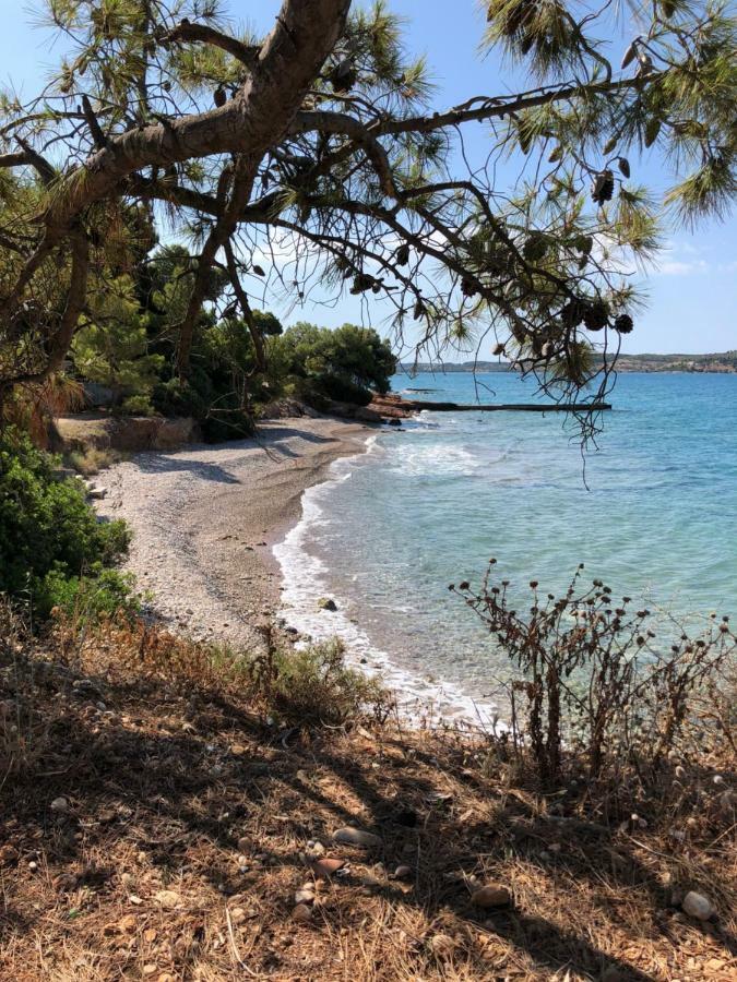 Villa Marina Porto Heli Extérieur photo